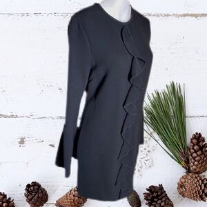 Rachel Zoe Moner Dress Black Ruffle Trumpet Sleeve